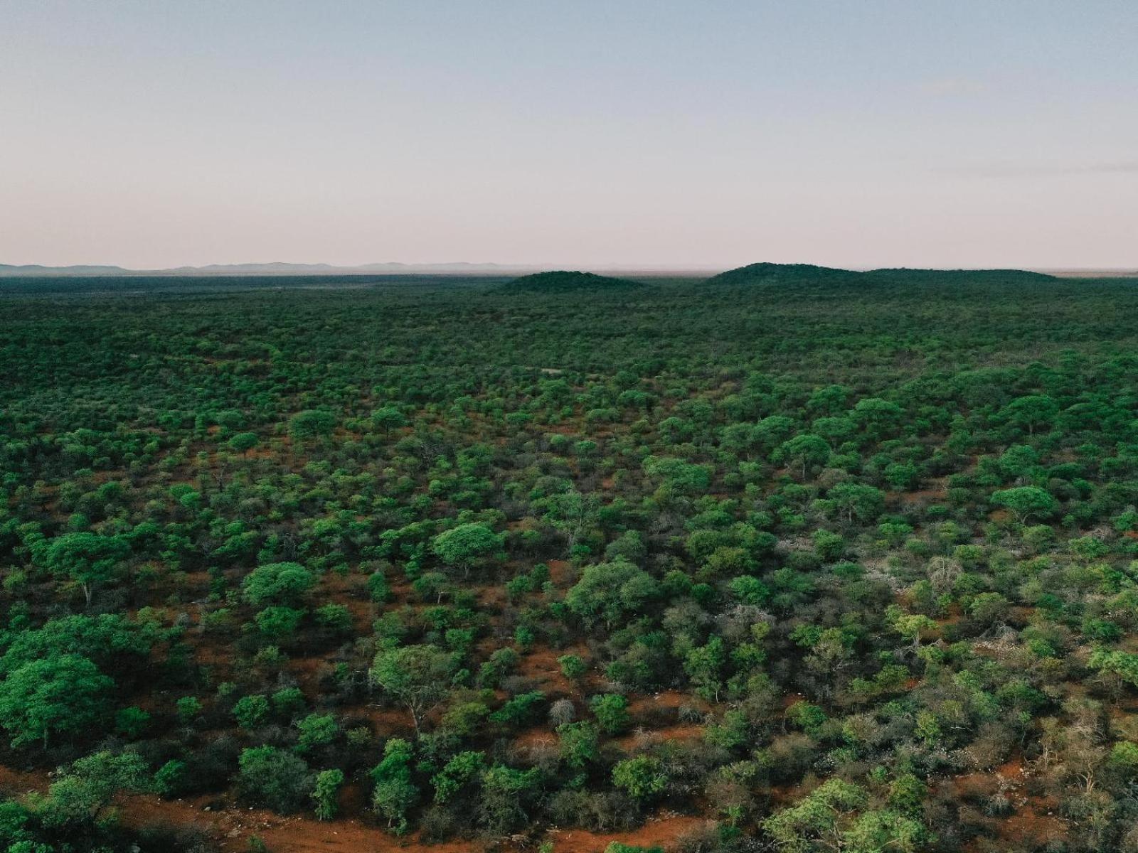 Kifaru Bush Camp 호텔 아웃조 외부 사진